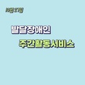 2023. 10. 27 발달장애인주간활동서비스