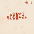 2023. 12. 11 발달장애인주간활동서비스