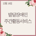 2023. 12. 14 발달장애인주간활동서비스