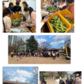 2025.03.19(수)발달장애인주간활동서비스