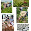 2025.07.09(수)발달장애인주간활동서비스